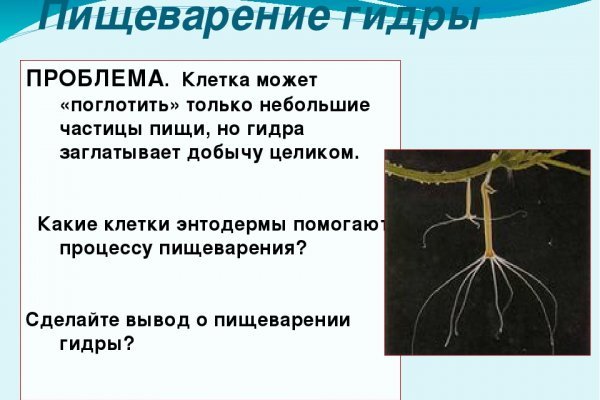 Ссылки сайтов даркнета