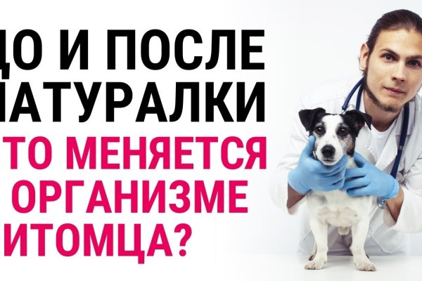 Kraken пользователь не найден при входе