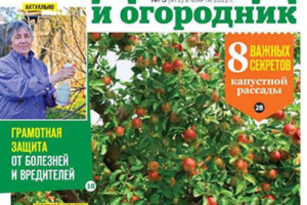 Кракен наркошоп
