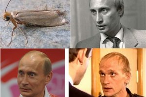 Кракен даркнет маркетплейс